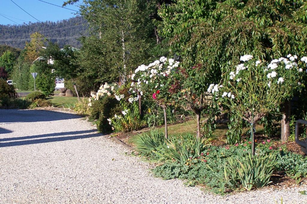 جبل بيوتي Bogong Moth Motel المظهر الخارجي الصورة