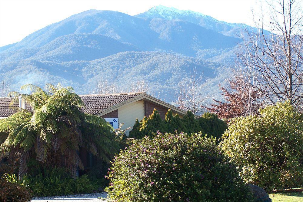 جبل بيوتي Bogong Moth Motel المظهر الخارجي الصورة